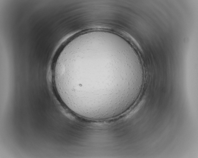 X0000113321125200909140941