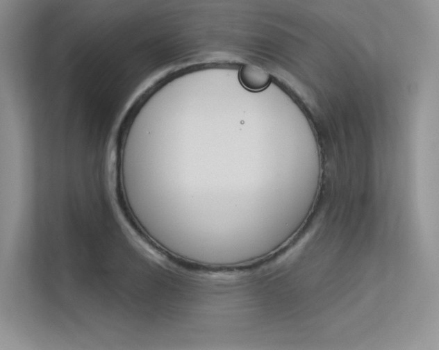 X0000113321126200909140941
