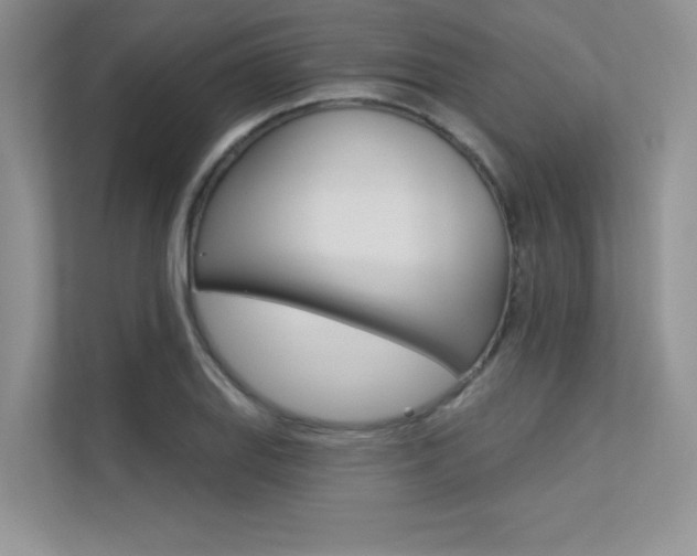 X0000113321127200909140941