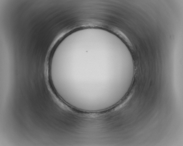 X0000113321130200909140941