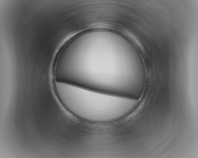 X0000113321133200909140941