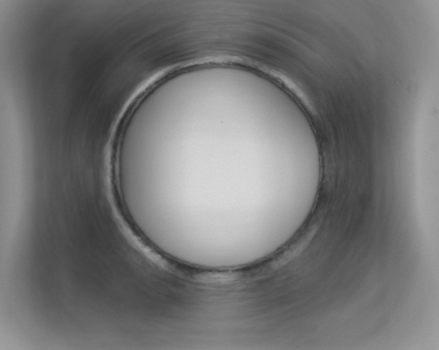 X0000113321134200909140941