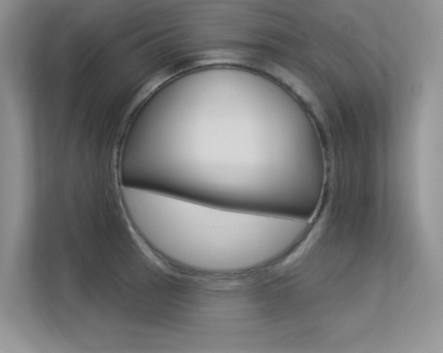 X0000113321137200909140941