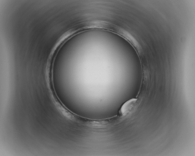 X0000113321138200909140942