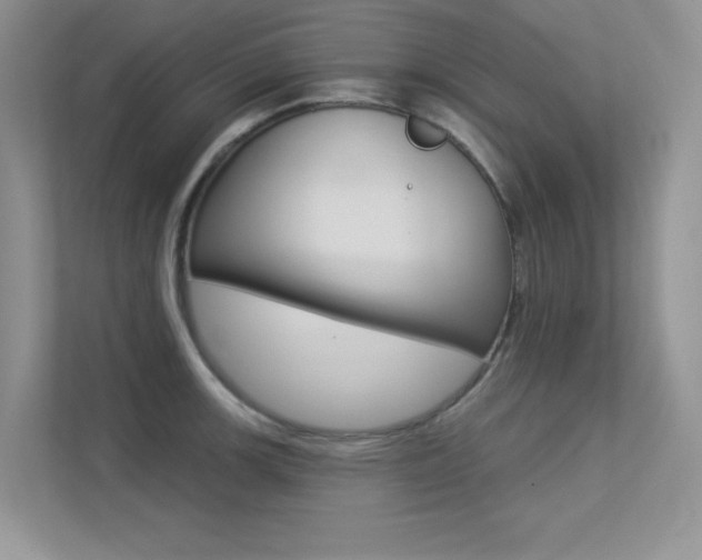 X0000113321139200909140942