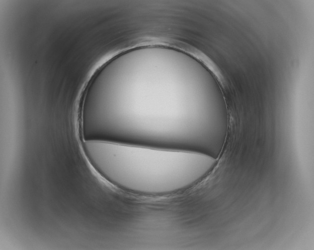 X0000113321143200909140942