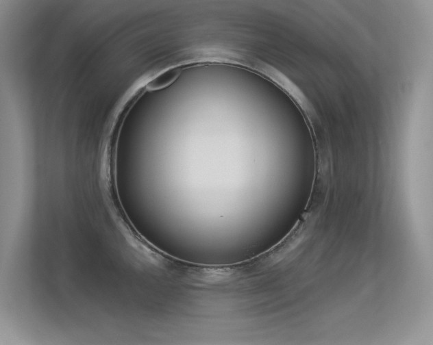 X0000113321144200909140942