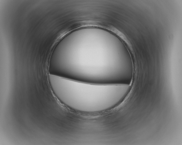 X0000113321145200909140942