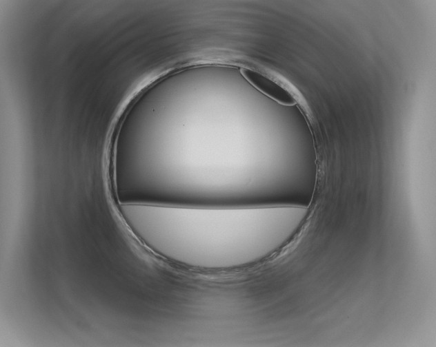 X0000113321146200909140942