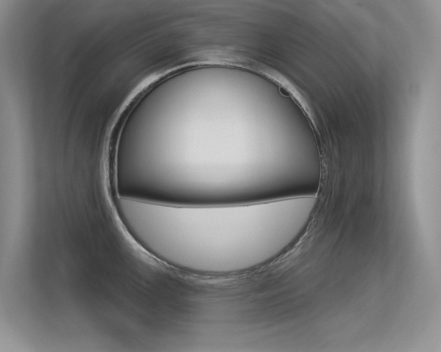 X0000113321147200909140942