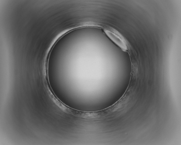 X0000113321148200909140942