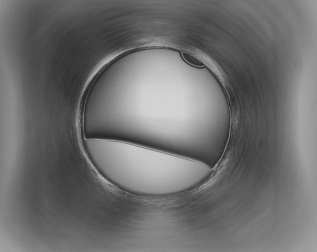 X0000113321149200909140942