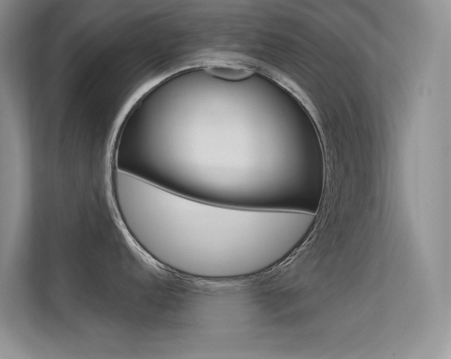 X0000113321152200909140942