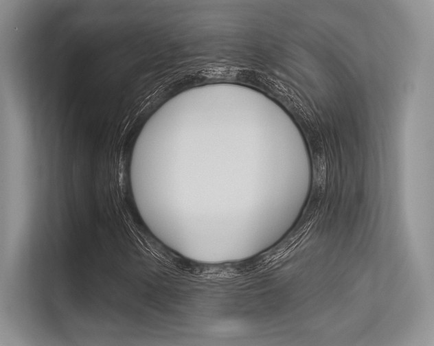 X0000113321154200909140941