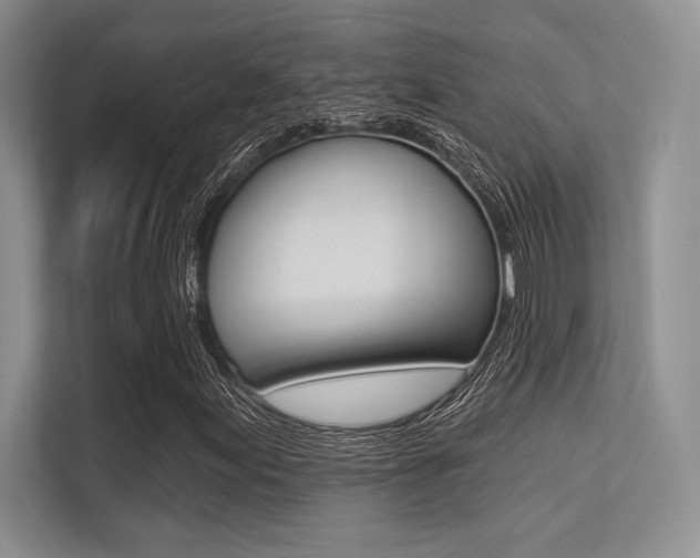 X0000113321155200909140941