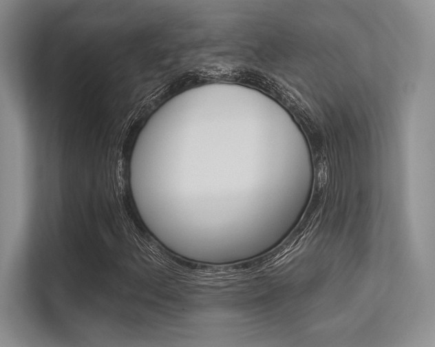 X0000113321156200909140941