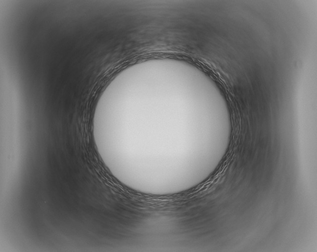 X0000113321157200909140941