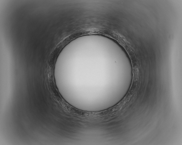 X0000113321158200909140941
