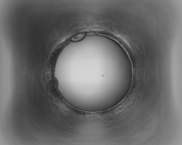 X0000113321159200909140941