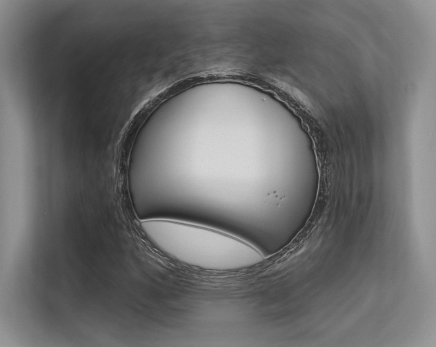 X0000113321160200909140941