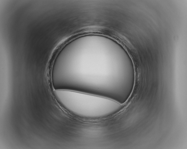 X0000113321164200909140941