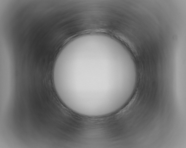 X0000113321169200909140941