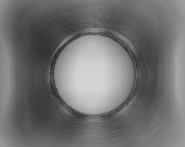 X0000113321170200909140941