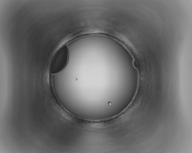 X0000113321173200909140941