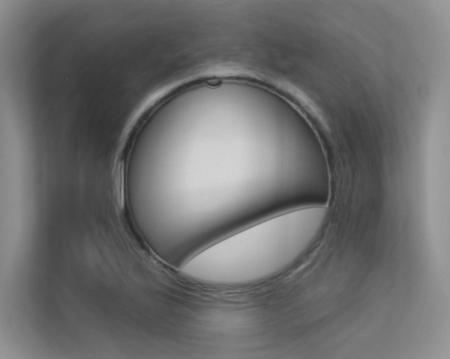 X0000113321175200909140941