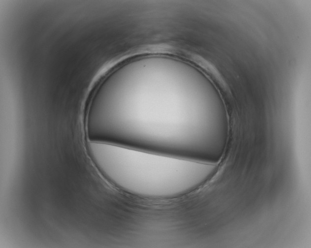 X0000113321176200909140941