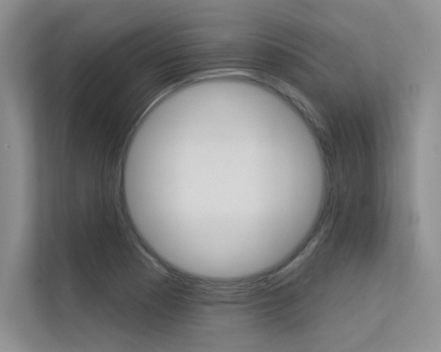 X0000113321177200909140941