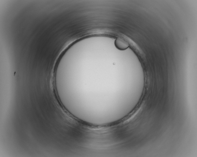 X0000113321178200909140941