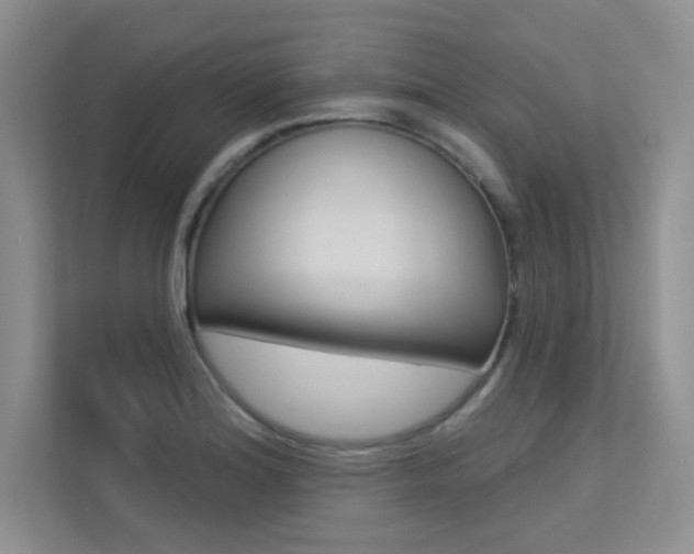 X0000113321180200909140941