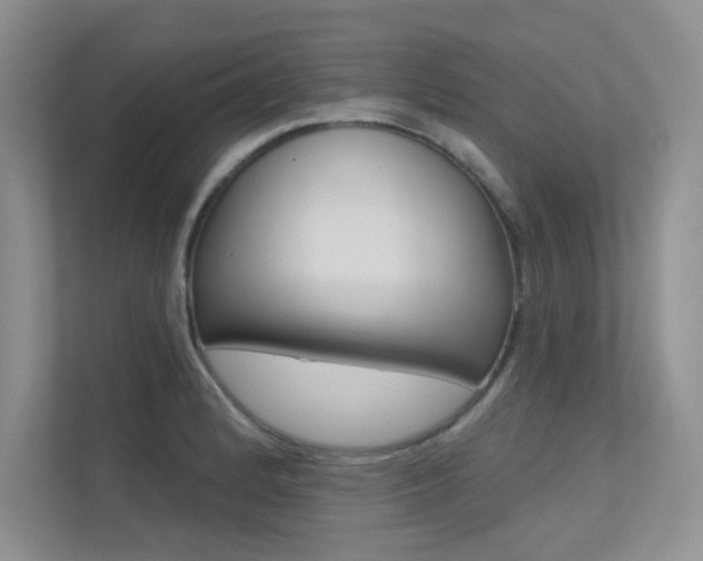 X0000113321184200909140941