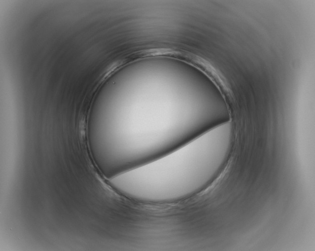 X0000113321185200909140941