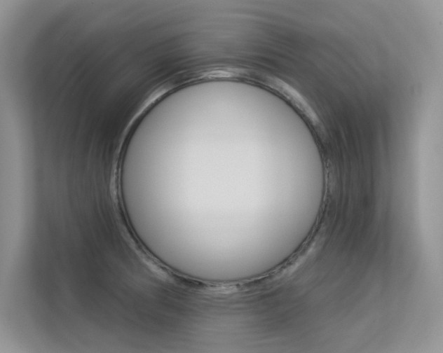 X0000113321186200909140941