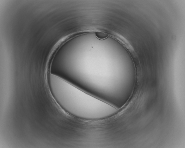 X0000113321188200909140941