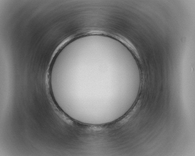X0000113321190200909140941
