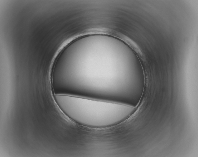 X0000113321192200909140940