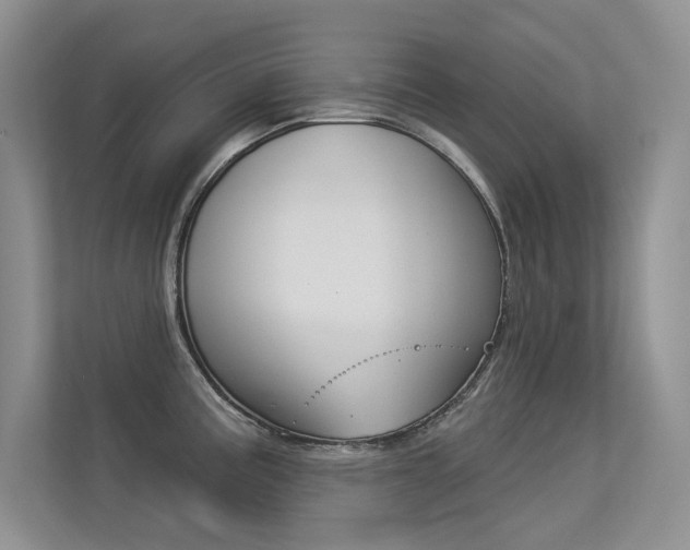 X0000113321195200909140940