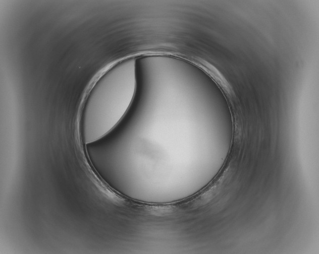 X0000113321196200909140940