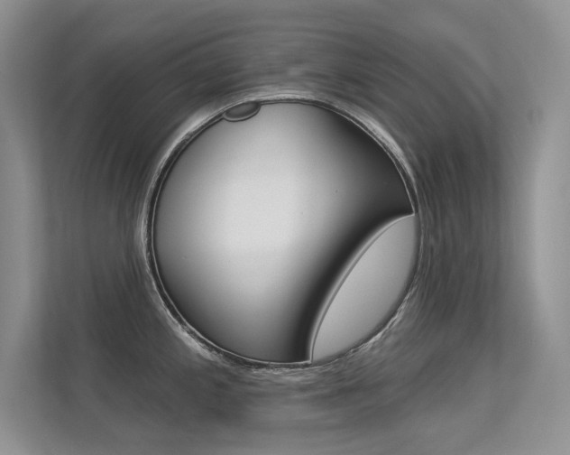 X0000113321197200909140940