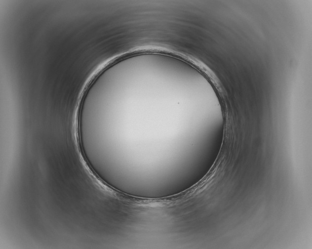 X0000113321199200909140940