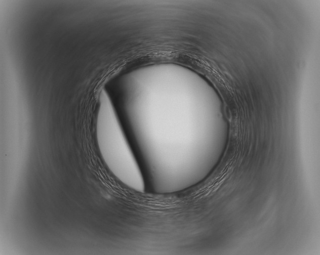 X0000113321201200909140940