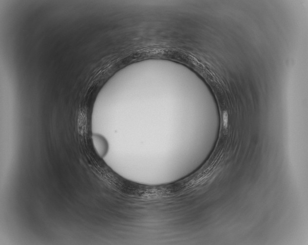X0000113321203200909140940