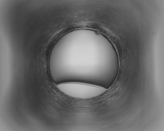 X0000113321206200909140940