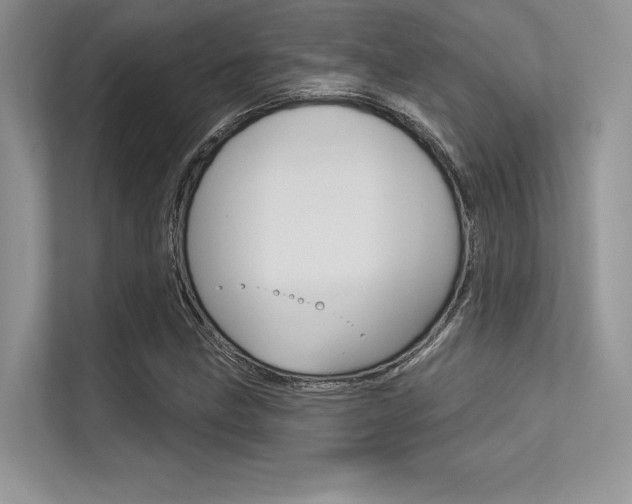 X0000113321211200909140940