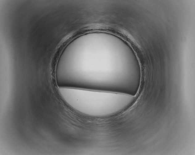 X0000113321213200909140940