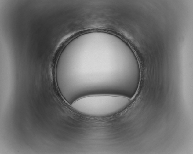 X0000113321214200909140940
