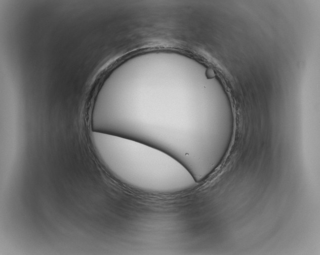 X0000113321215200909140940
